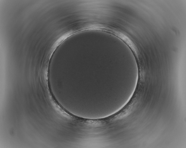 X0000111370954200908071211