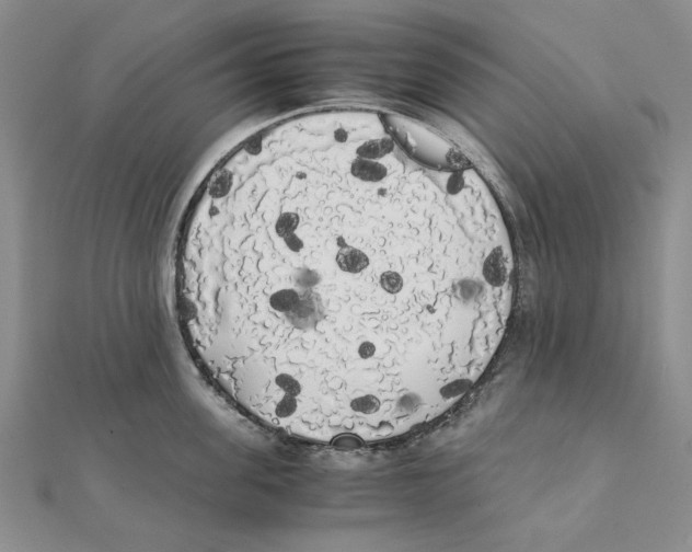 X0000111370955200908071211