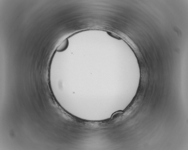 X0000111370956200908071211