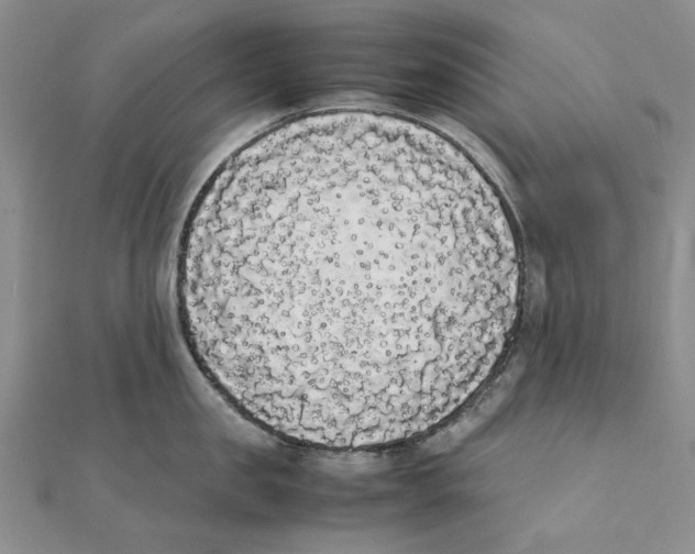 X0000111370957200908071211