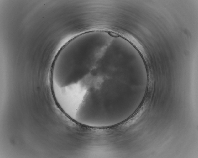 X0000111370958200908071211