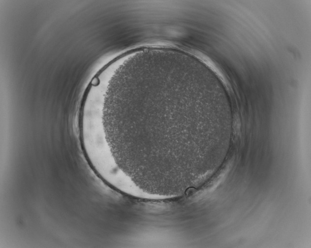 X0000111370959200908071211