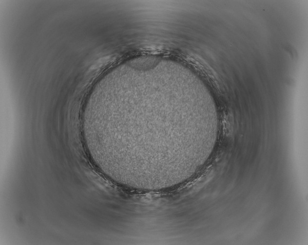 X0000111370961200908071211