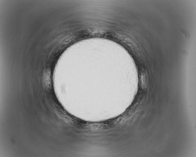 X0000111370963200908071211