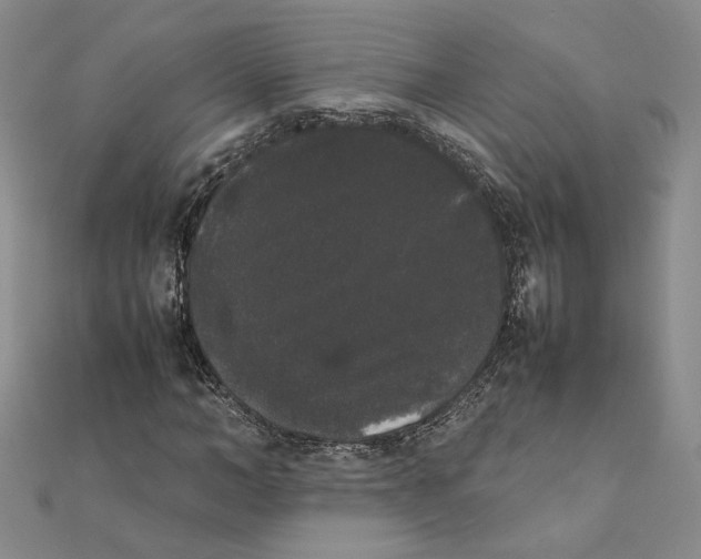 X0000111370966200908071211