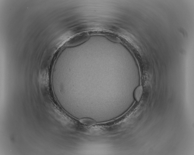 X0000111370969200908071211