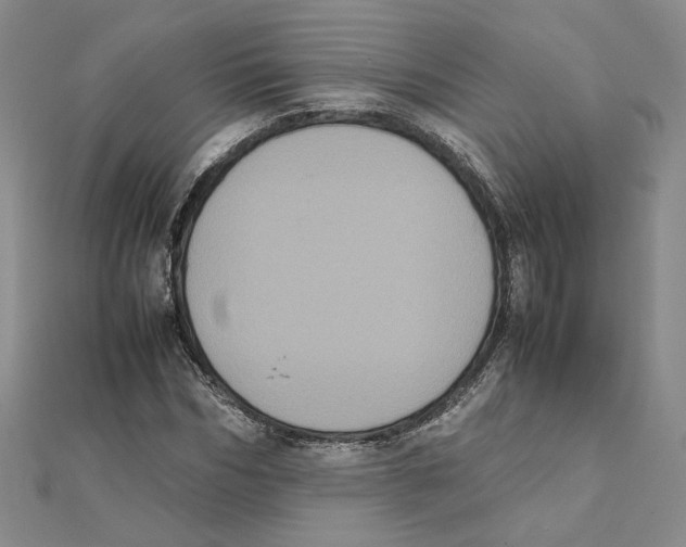X0000111370970200908071211