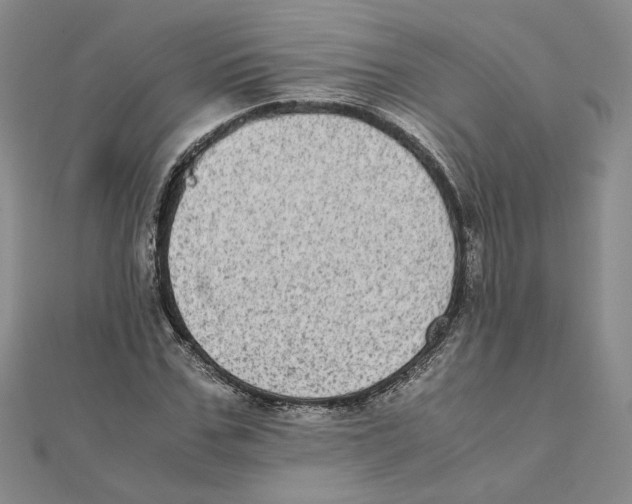 X0000111370971200908071211