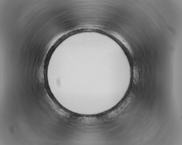 X0000111370972200908071211