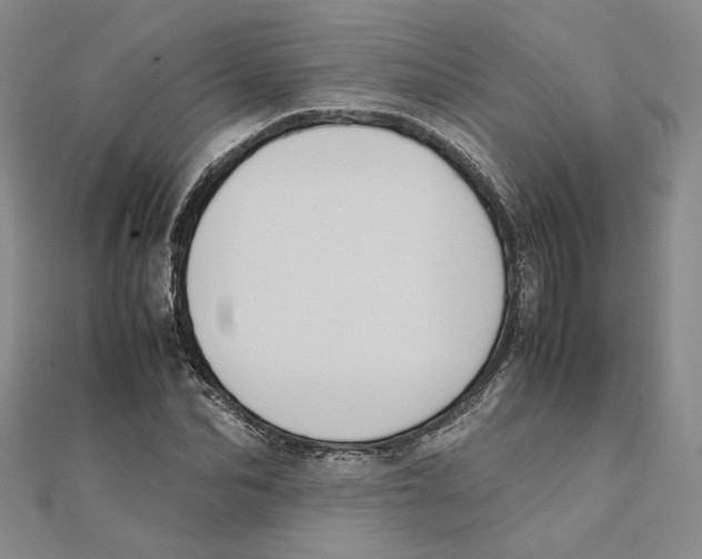 X0000111370974200908071211