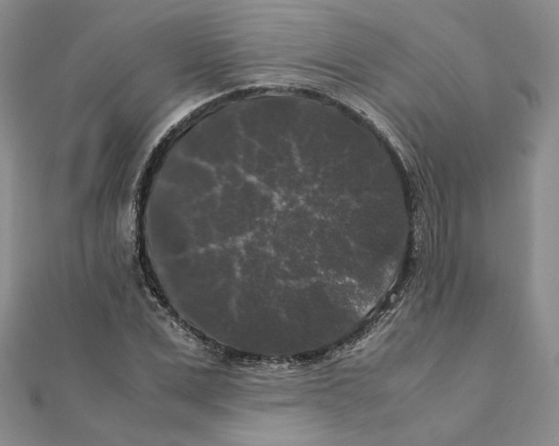 X0000111370975200908071211