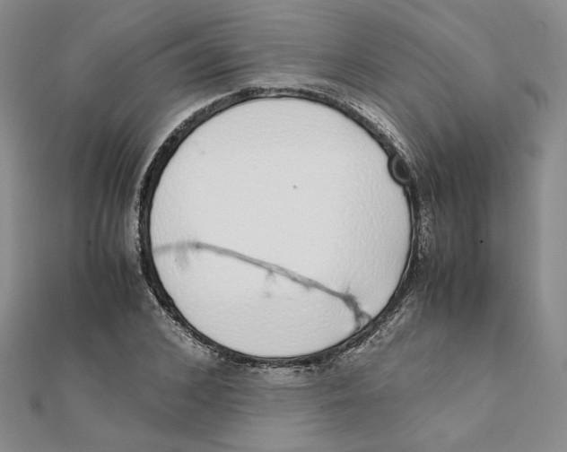 X0000111370976200908071211