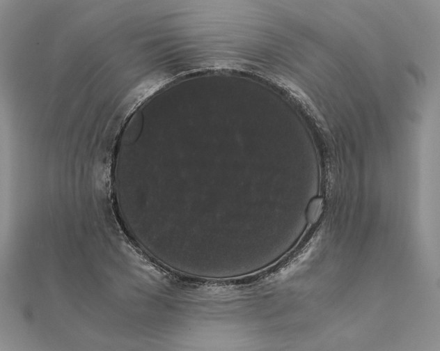 X0000111370977200908071210