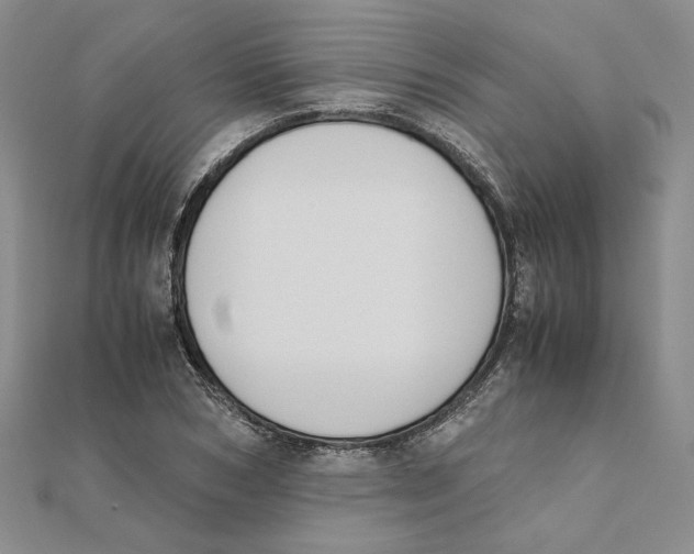 X0000111370978200908071210
