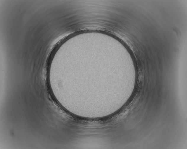 X0000111370979200908071210