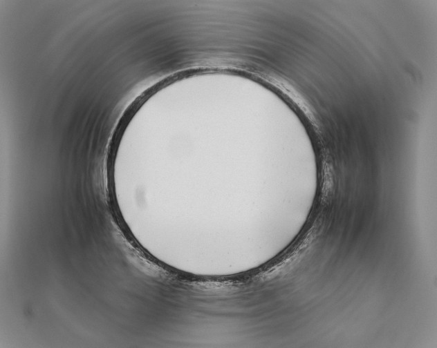X0000111370980200908071210