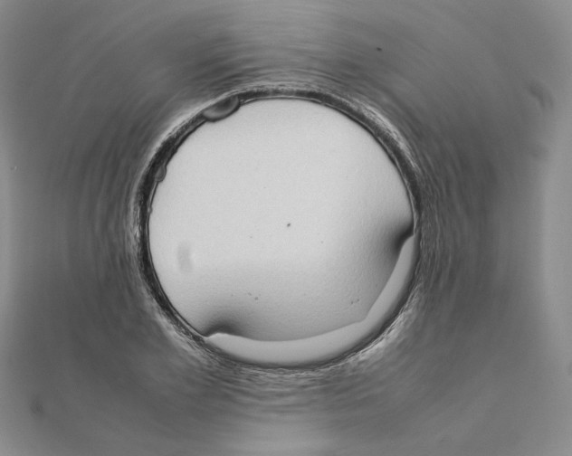 X0000111370981200908071210