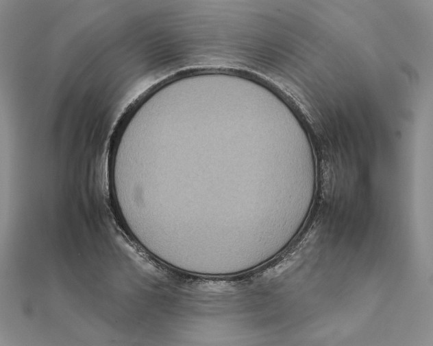 X0000111370982200908071210