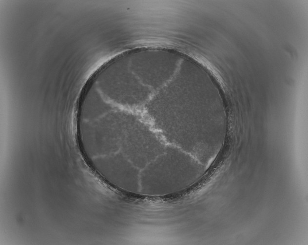 X0000111370983200908071210
