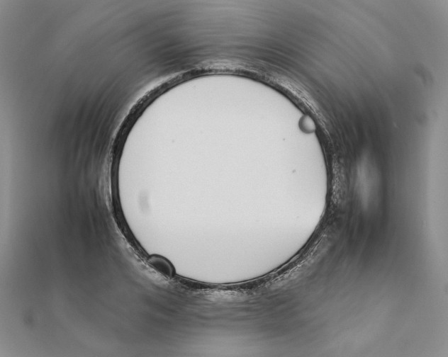 X0000111370984200908071210