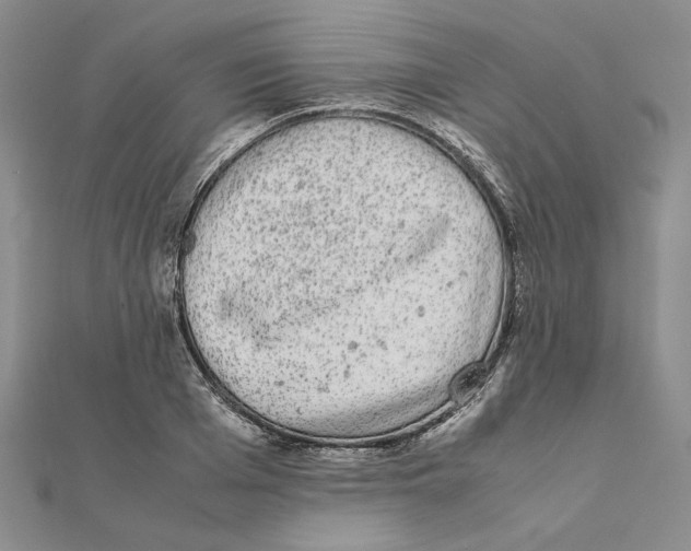 X0000111370985200908071210