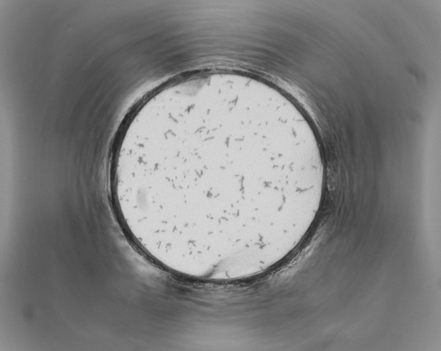 X0000111370987200908071210