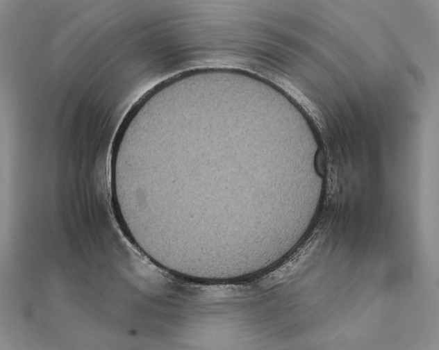 X0000111370988200908071210