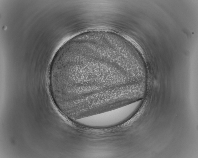 X0000111370989200908071210