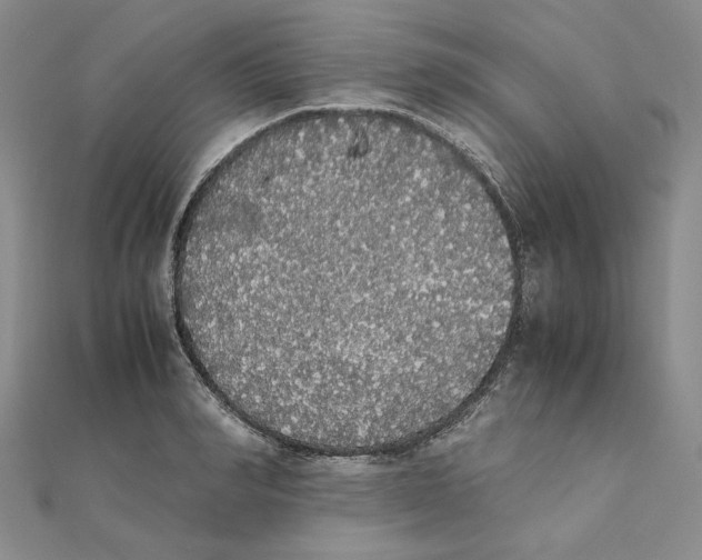 X0000111370990200908071210