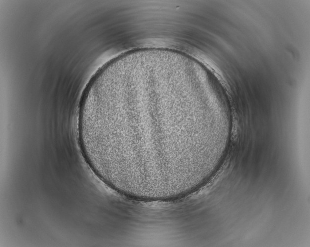 X0000111370992200908071210