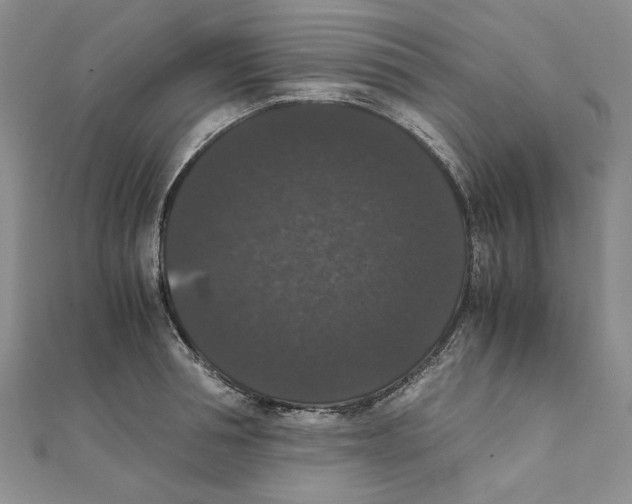 X0000111370994200908071210