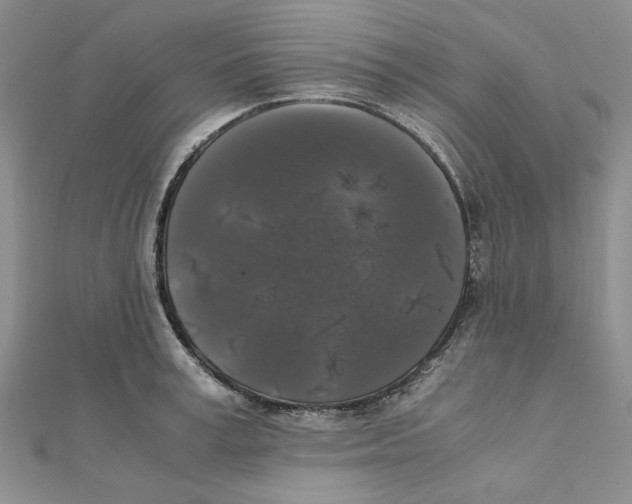 X0000111370995200908071210