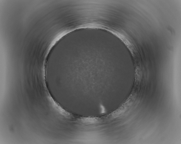 X0000111370998200908071210