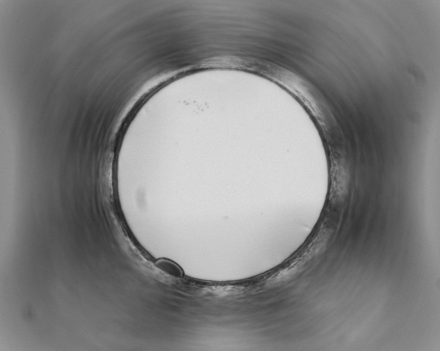 X0000111371000200908071210