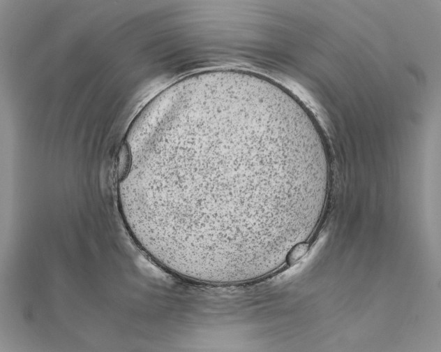 X0000111371001200908071210