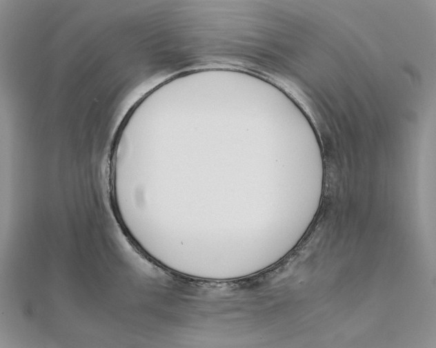 X0000111371003200908071210
