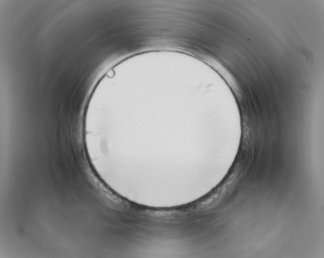 X0000111371004200908071210