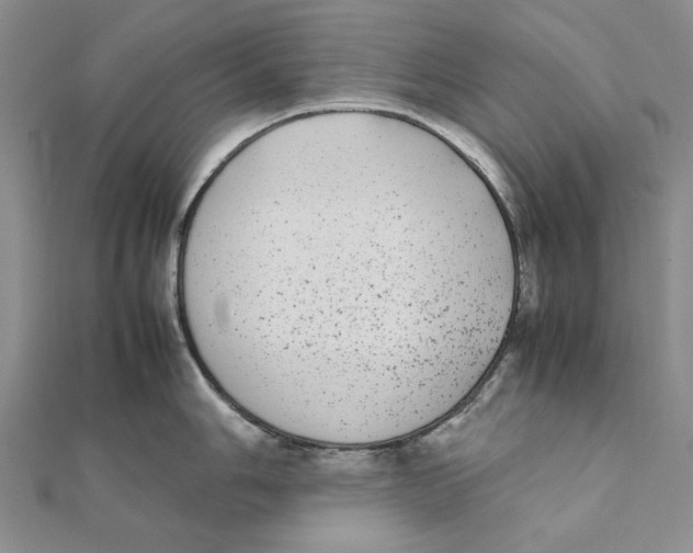 X0000111371006200908071210