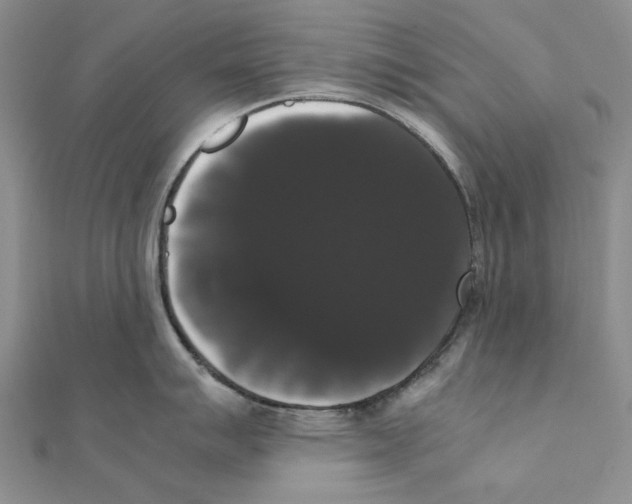 X0000111371007200908071210