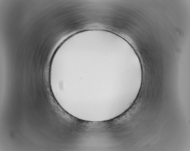 X0000111371008200908071210