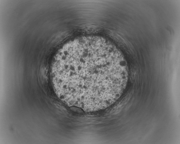 X0000111371010200908071209