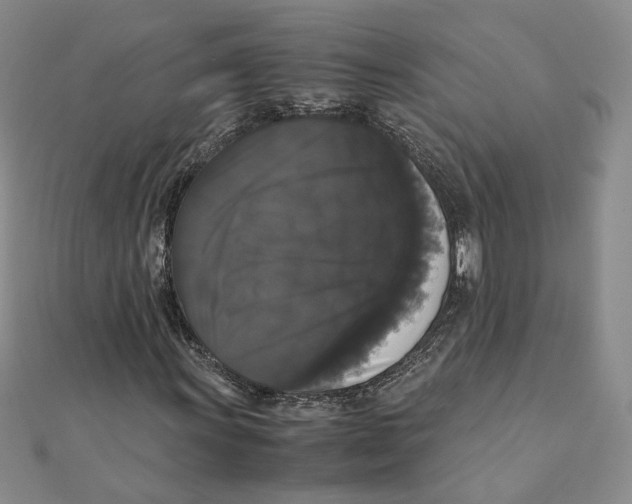 X0000111371011200908071210