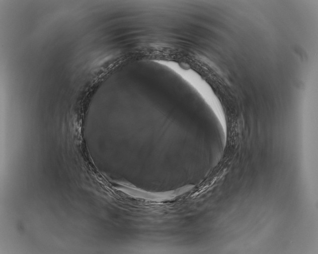 X0000111371013200908071210