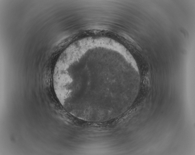 X0000111371014200908071210