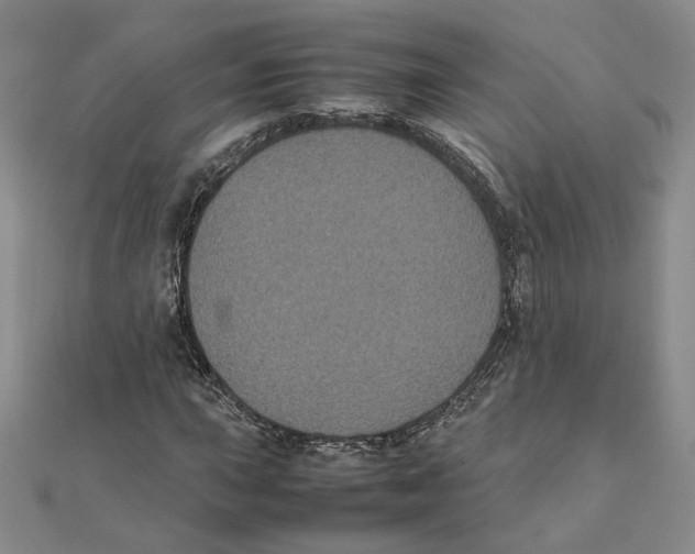 X0000111371015200908071210