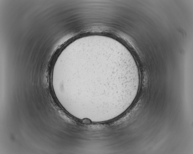 X0000111371018200908071210