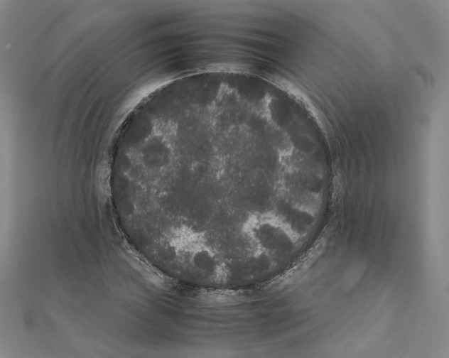 X0000111371019200908071210