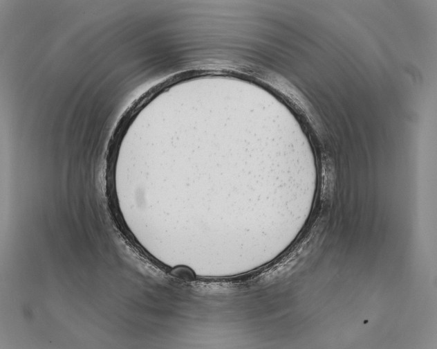 X0000111371020200908071210