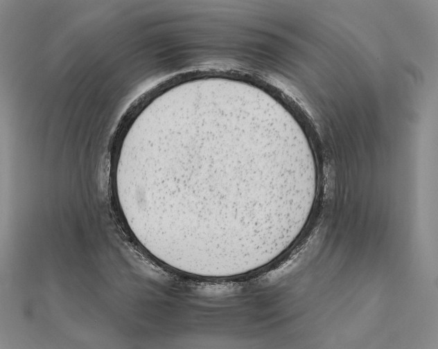 X0000111371021200908071210