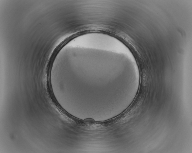 X0000111371024200908071210